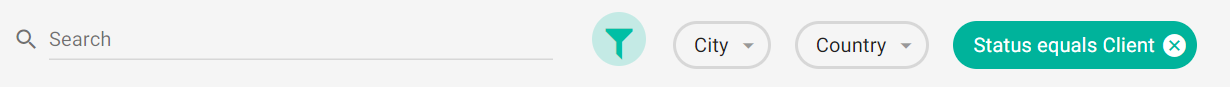 filter_chip_specified.png